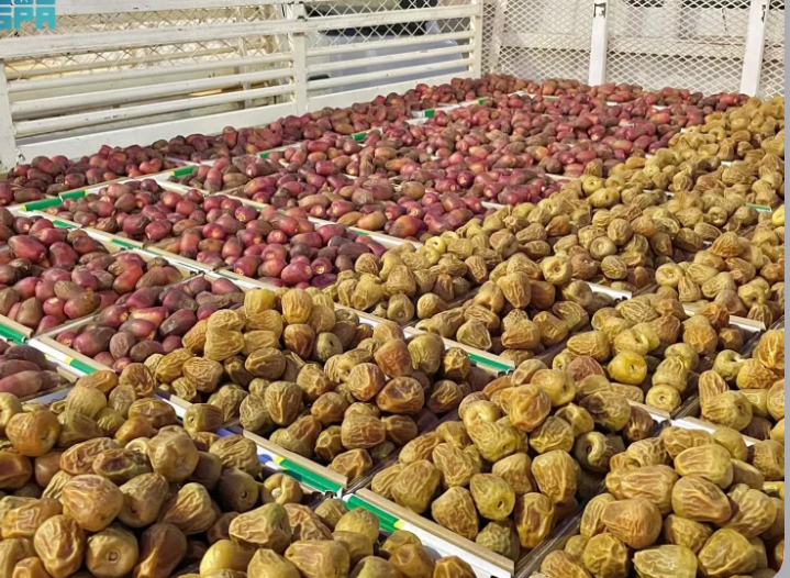كرنفال بريدة للتمور يشهد اعتدالاً في عمليات البيع والشراء
